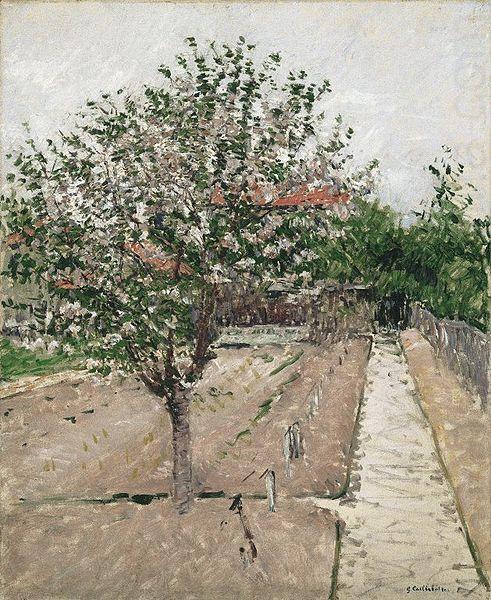 Gustave Caillebotte Apple Tree in Bloom china oil painting image